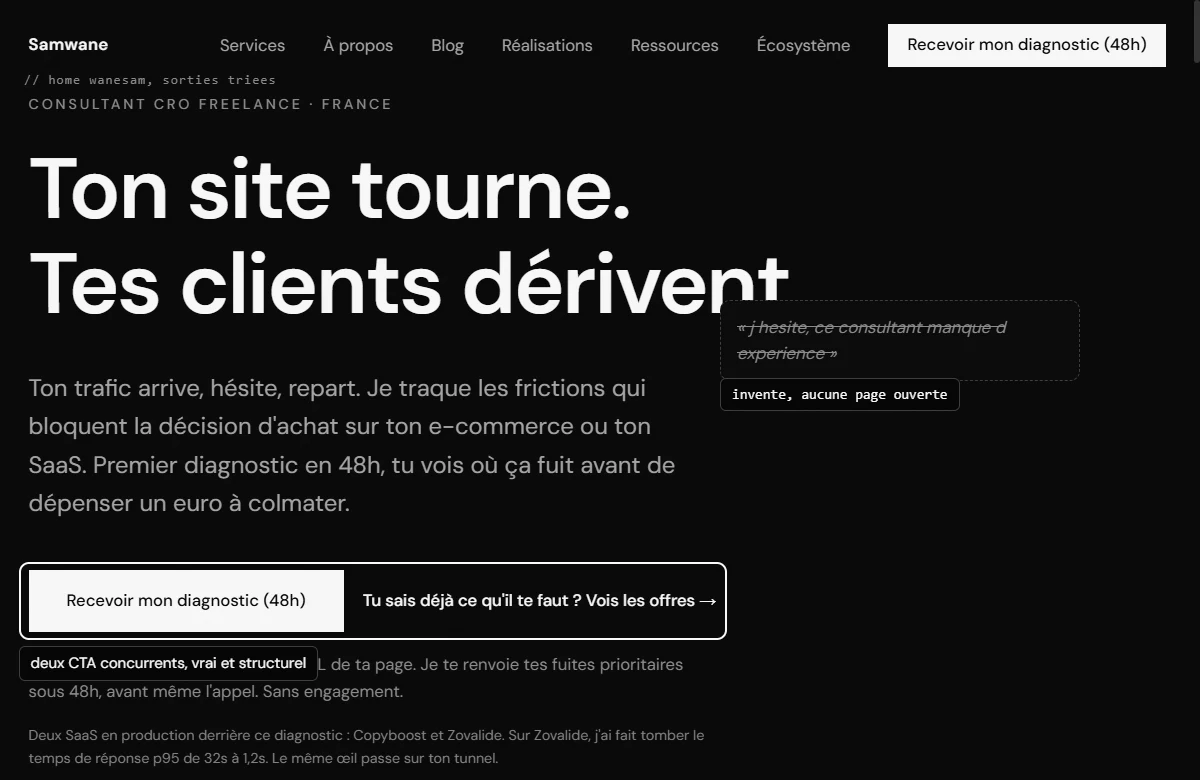 Home wanesam, les deux CTA concurrents du hero entourés comme remarque vraie, une objection sur le manque d'expérience barrée comme remarque inventée.